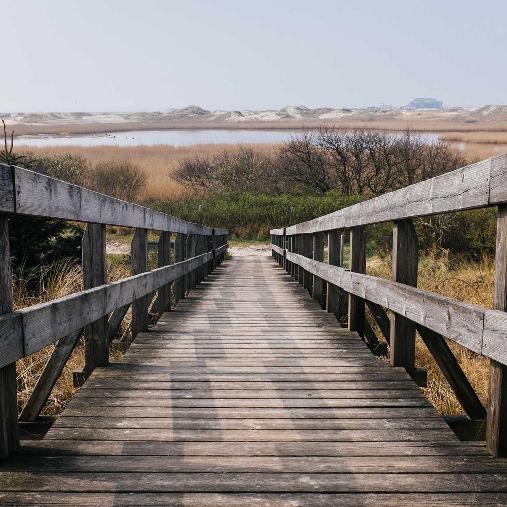 Essential Strategies for Home Sellers in California - Mariani Real Estate