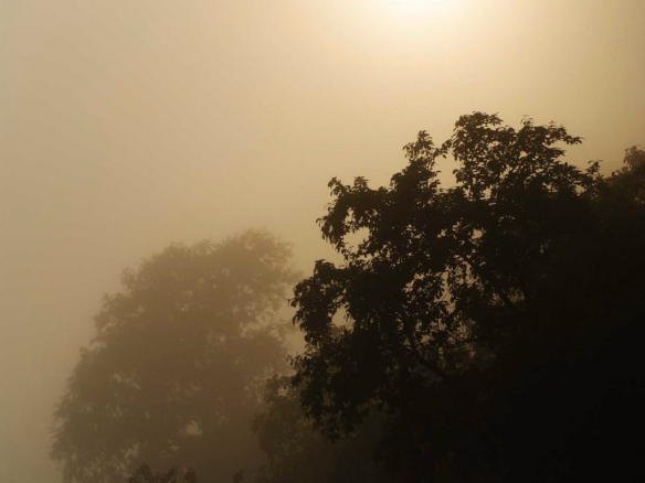 What Buyers Should Know in Today’s Stanislaus County Market - Mariani Real Estate