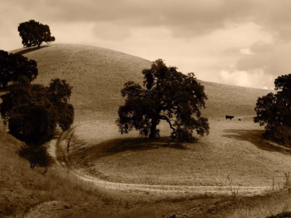 PMI Explained — A Stanislaus County Real Estate Guide - Mariani Real Estate