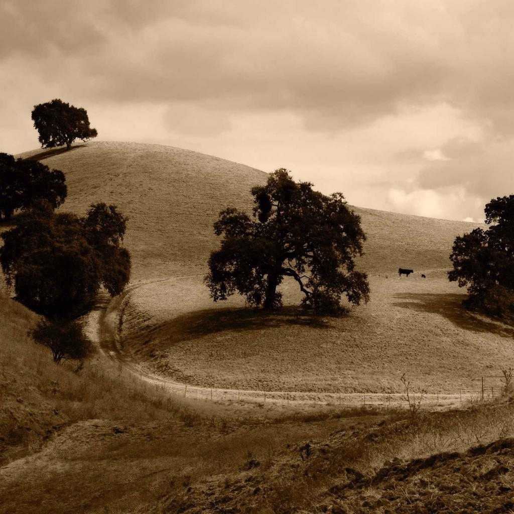 PMI Explained — A Stanislaus County Real Estate Guide - Mariani Real Estate